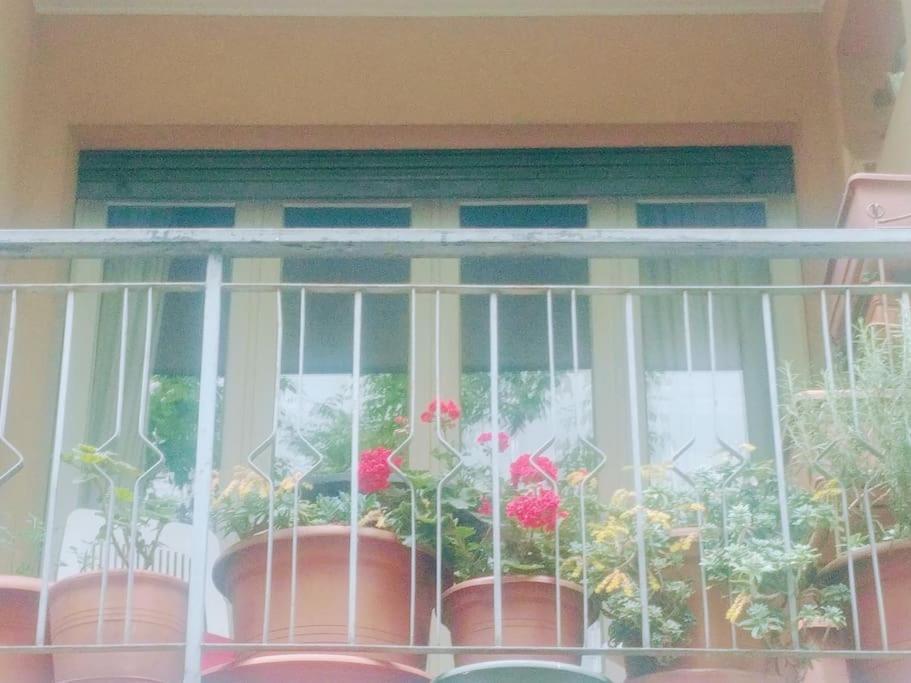 Ampi Spazi, A Piedi In Centro. Διαμέρισμα Τρεβίζο Εξωτερικό φωτογραφία